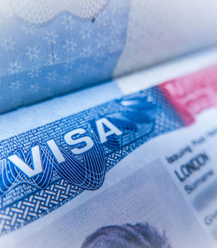Visa Service